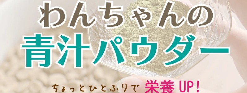 ���̐H���ɂЂƂӂ�y��񂿂��̐`�p�E�_�[�z ���T�C�g